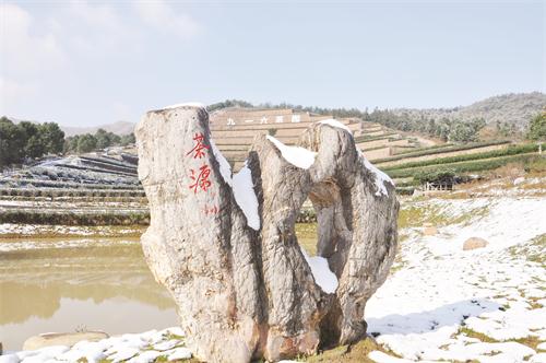 毛主席女儿李讷亲笔石15.jpg 毛主席女儿李讷亲笔石15.jpg