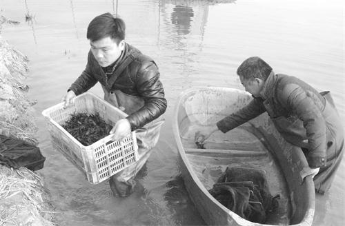 1170六11.jpg 1170六11.jpg