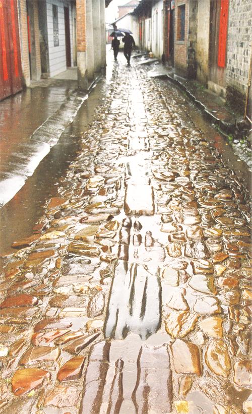 毛中1.jpg 毛中1.jpg