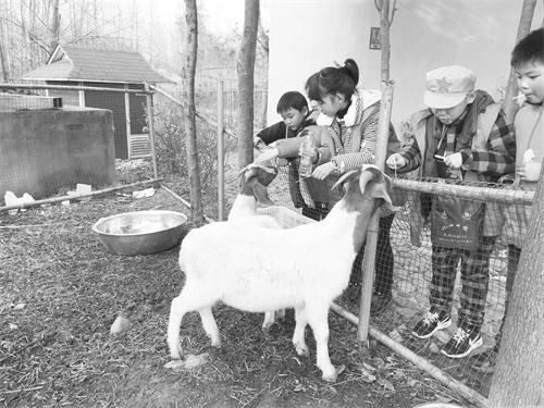 七IMG_4928.JPG 七IMG_4928.JPG