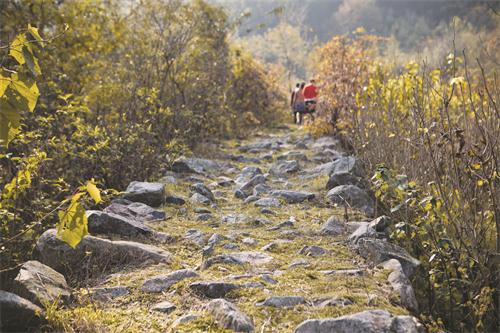 四摄影:石义良 .jpg 四摄影:石义良 .jpg