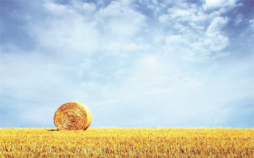 五QQ图片六5.jpg 五QQ图片六5.jpg