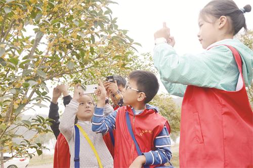 五image005.jpg 五image005.jpg