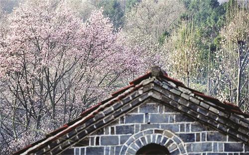 五版21500419.JPG 五版21500419.JPG