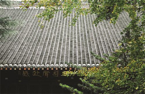 五版21500421.JPG 五版21500421.JPG