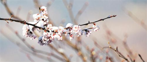 一版IMG_1990.jpg