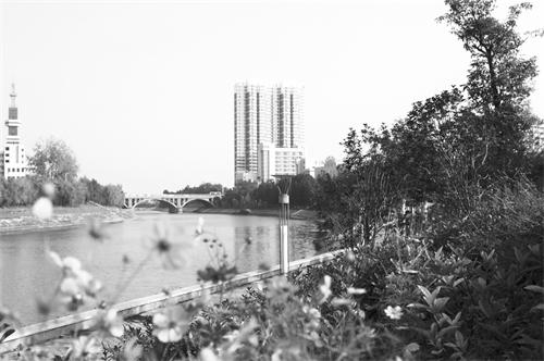 三2100221.jpg 三2100221.jpg