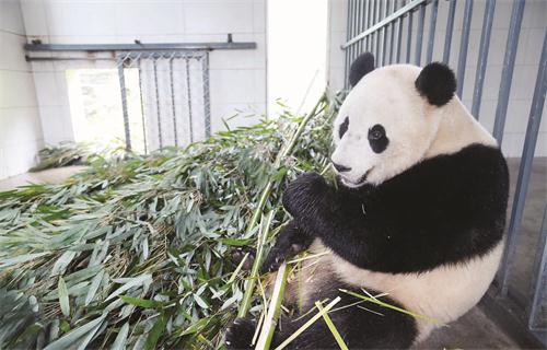 四生皮32400326.JPG