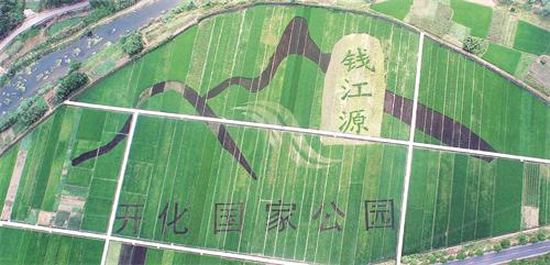 国家公园美如春.JPG 国家公园美如春.JPG