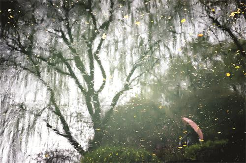 水墨衢州.jpg 水墨衢州.jpg