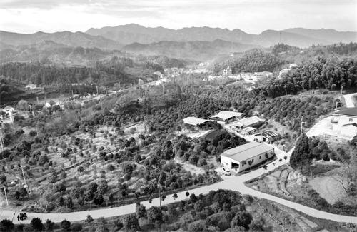 日报三版22.jpg 日报三版22.jpg