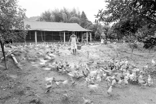 日报三版333.jpg 日报三版333.jpg