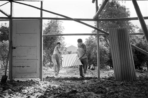 日报三版666.jpg 日报三版666.jpg