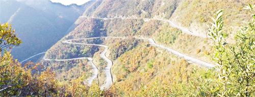 410周刊五版1.jpg 410周刊五版1.jpg