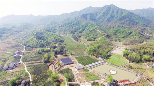 DJI日报一版3.JPG DJI日报一版3.JPG