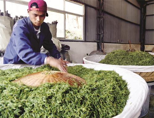 日报一版331449.jpg 日报一版331449.jpg