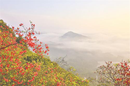 一金寨风光.jpg 一金寨风光.jpg