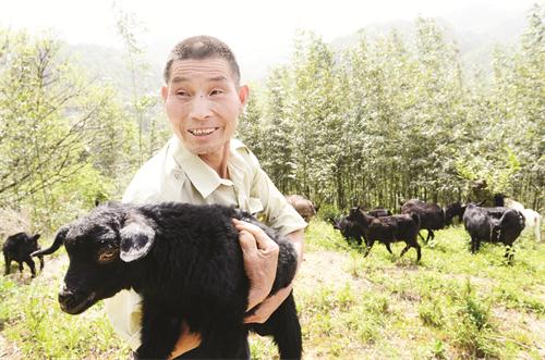 DSC_2112.JPG DSC_2112.JPG