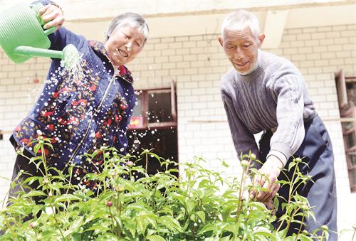 三版DSC_2259.JPG 三版DSC_2259.JPG