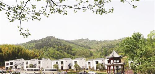 三版DSC_2337.JPG 三版DSC_2337.JPG