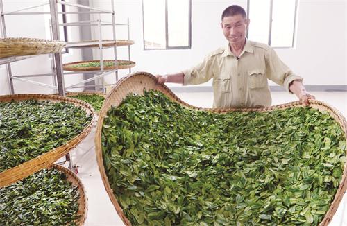 三版DSC_2419.JPG 三版DSC_2419.JPG