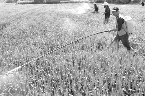 2版0503综合 6092.JPG