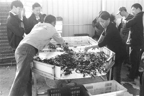 6版直通车0503 0075.jpg