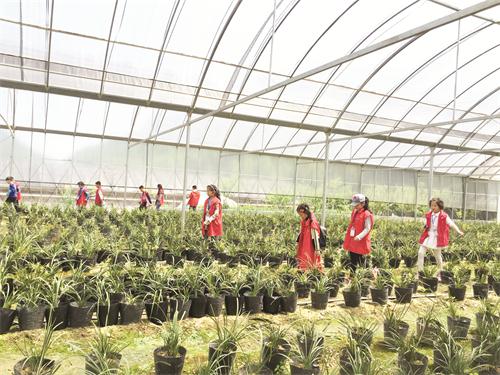 5经济0510 899889.JPG 5经济0510 899889.JPG