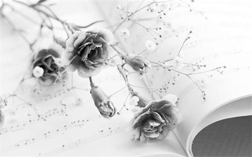 六版的51200202.jpg 六版的51200202.jpg