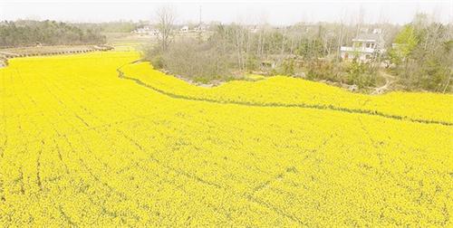 五151600114.jpg 五151600114.jpg