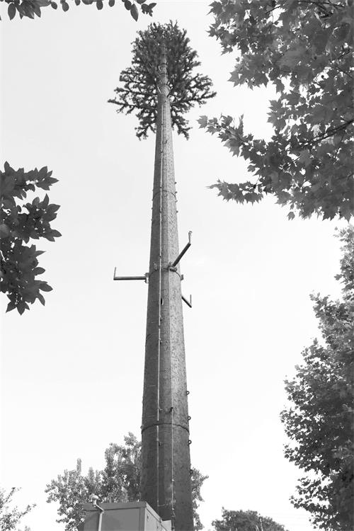 172947.jpg 172947.jpg