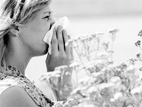 6版0522 80017.jpg 6版0522 80017.jpg