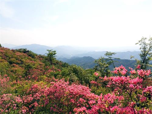 5版0607 6061810.jpg