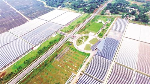 5版0607 惠乡民.jpg