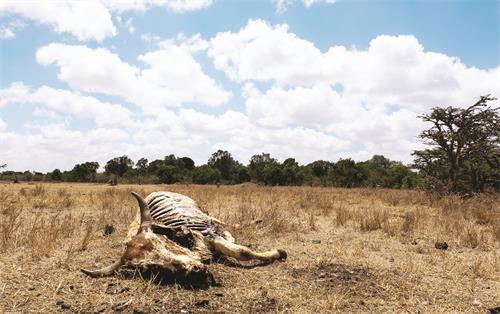 4版0617 1600282.JPG