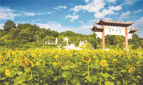 一邢湾2017.7.13汪诚 (5).jpg 一邢湾2017.7.13汪诚 (5).jpg