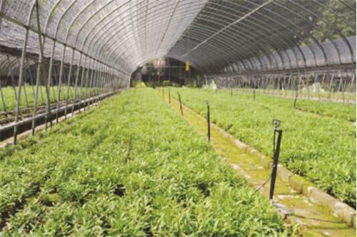 555582900016.jpg 555582900016.jpg