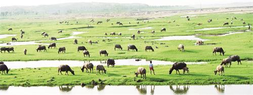 0901五版4.jpg 0901五版4.jpg