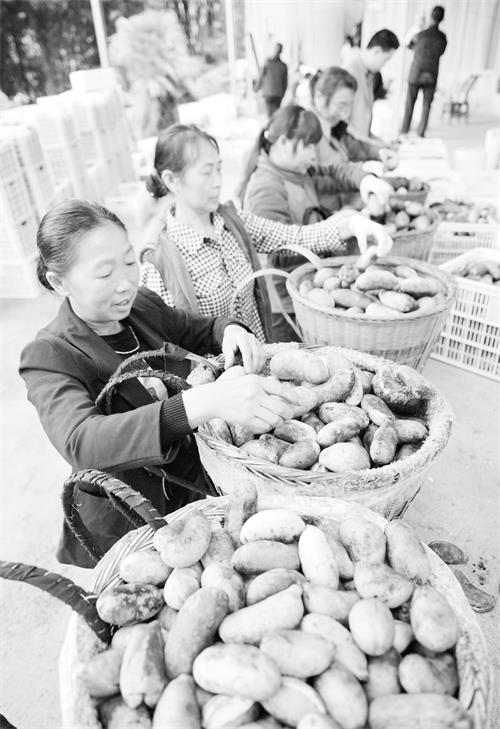 3版0922 2100267.JPG