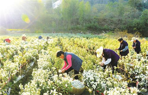 E:\舒城\舒城4版\舒城的4的6021.jpg E:\舒城\舒城4版\舒城的4的6021.jpg