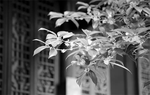 E:\11月20日5678\11月20日七版\七的700124.jpg E:\11月20日5678\11月20日七版\七的700124.jpg