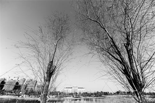 南湖之冬4624.jpg 南湖之冬4624.jpg