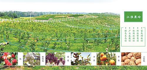 农委江淮果岭1.jpg