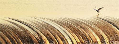 五版0112 《水上芭蕾》.jpg