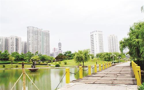 五版0112 9832373.jpg