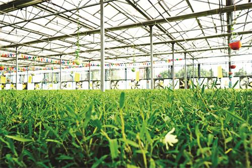 四版22600209.JPG 四版22600209.JPG