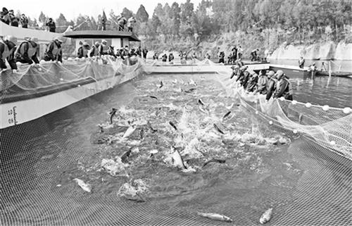 六的2600299.jpg 六的2600299.jpg