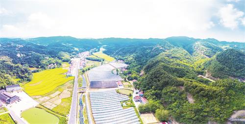 12日五版4.jpg 12日五版4.jpg