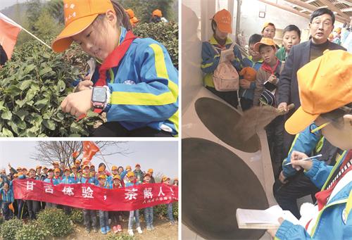 一体验茶文化1.jpg 一体验茶文化1.jpg