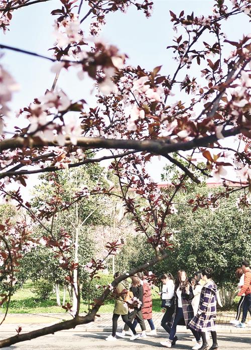 五版32300219.JPG 五版32300219.JPG